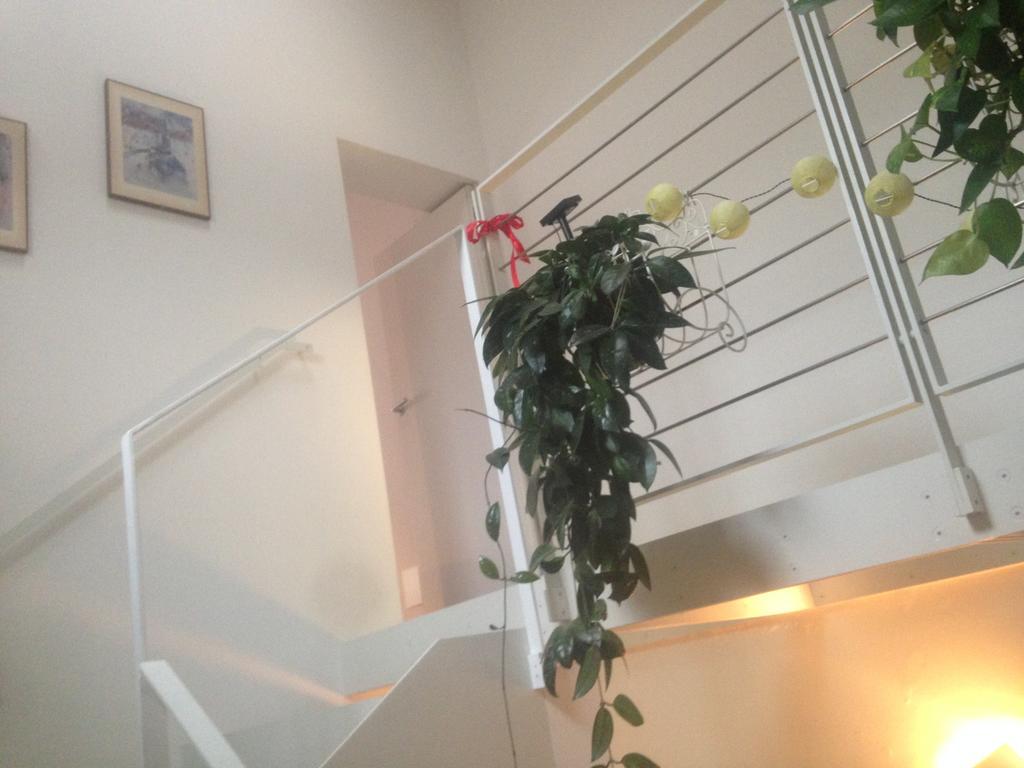 La Casina Leilighet Parma Eksteriør bilde